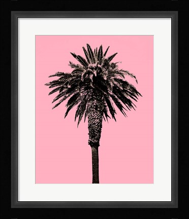 Framed Palm Tree 1996 (Pink) Print