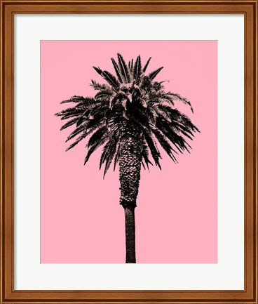 Framed Palm Tree 1996 (Pink) Print