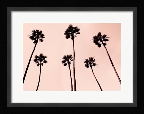 Framed Palm Trees 1997 Copper Print