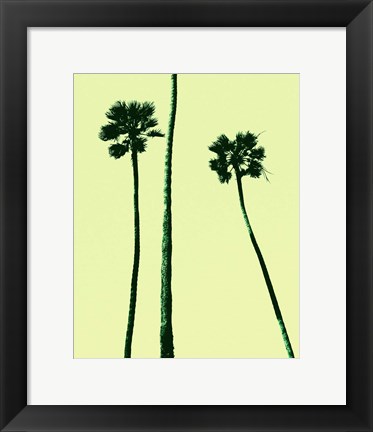 Framed Palm Trees 2000 (Cyan) Print