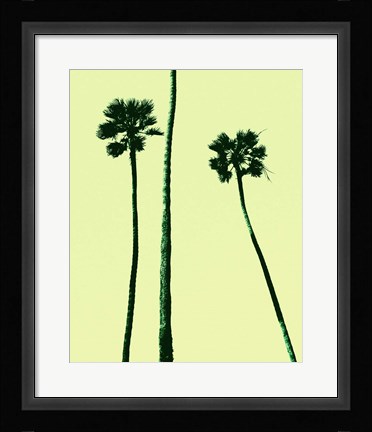 Framed Palm Trees 2000 (Cyan) Print