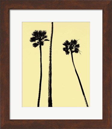Framed Palm Trees 2000 (Yellow) Print