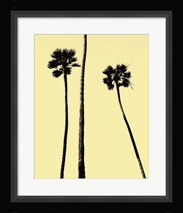 Framed Palm Trees 2000 (Yellow) Print