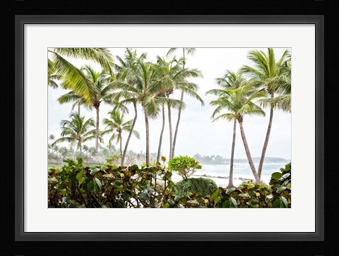 Framed After the Dorado Rain Print