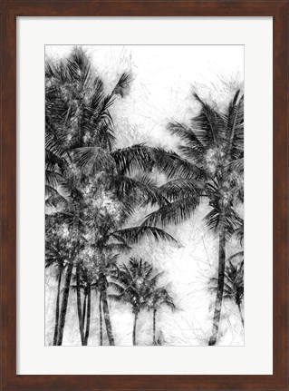 Framed Dorado Palms 1 Print
