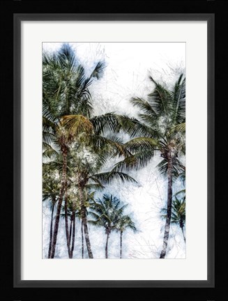 Framed Dorado Palms 2 Print