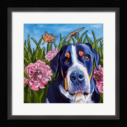 Framed Dog and Dragonflies Print