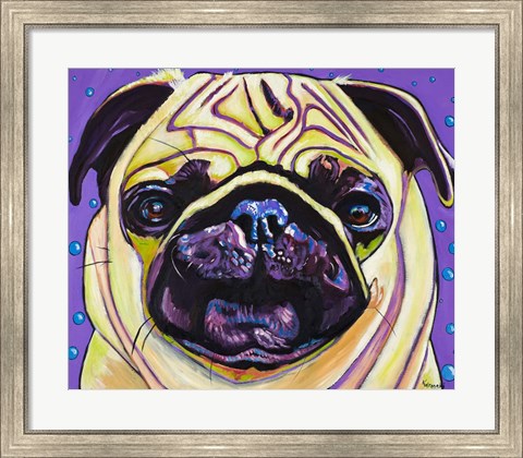 Framed Purple Pug Print