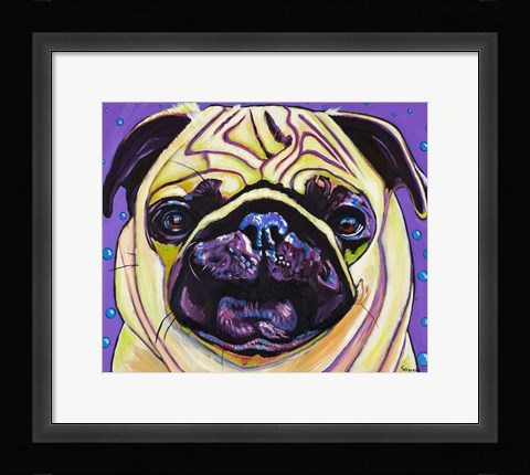 Framed Purple Pug Print