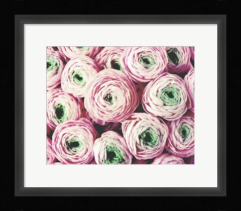 Framed Bundle of Sweetness Print