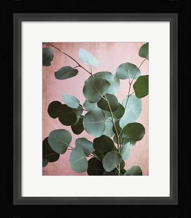 Framed Sage Eucalyptus No. 1 Print
