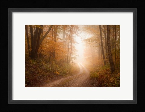 Framed Familiar Dream Print