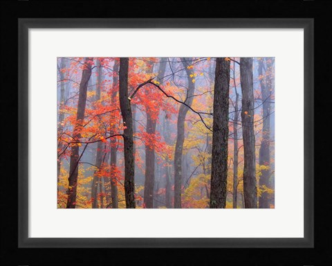 Framed Fire in the Fog Print