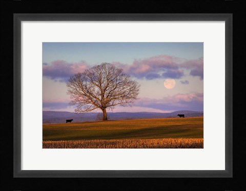 Framed Meeting at Dawn Print