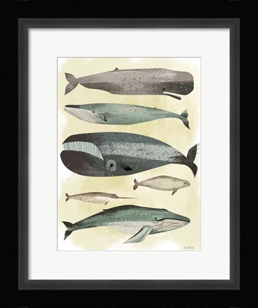 Framed Whales Print