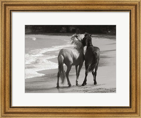 Framed Young Mustangs on Beach Print