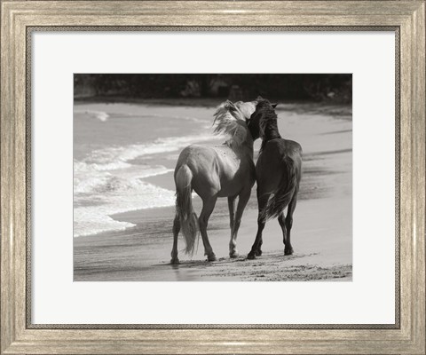 Framed Young Mustangs on Beach Print