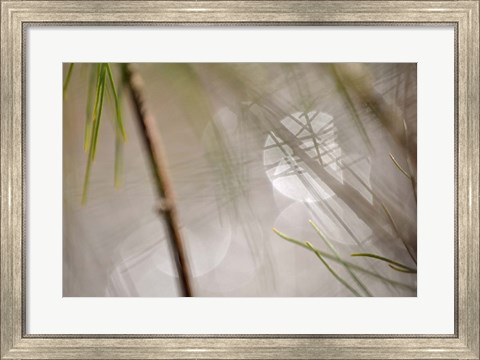 Framed Abstract by the River Print