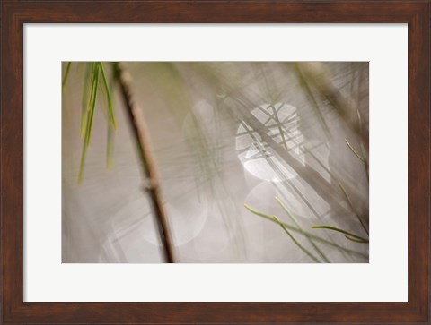 Framed Abstract by the River Print
