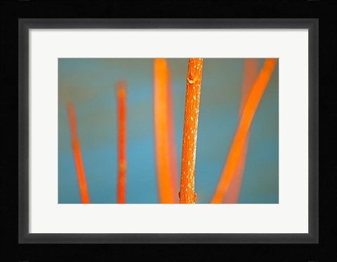 Framed Along the River No. 5 Print