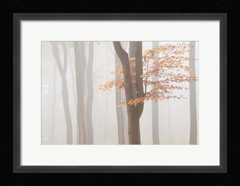 Framed Arnhem Park Zypendaal Print