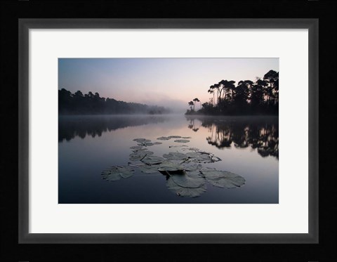 Framed Oisterwijkse Vennen Print