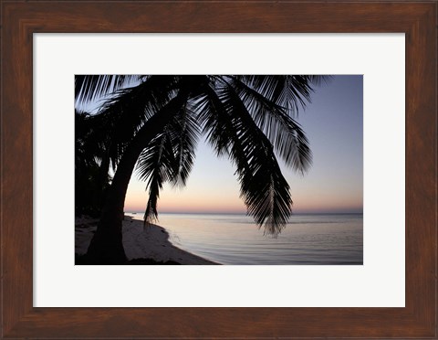 Framed Palm Tree Sunset Print