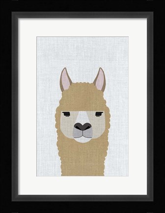 Framed Alpaca Print