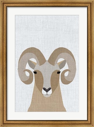 Framed Bighorn Sheep Print