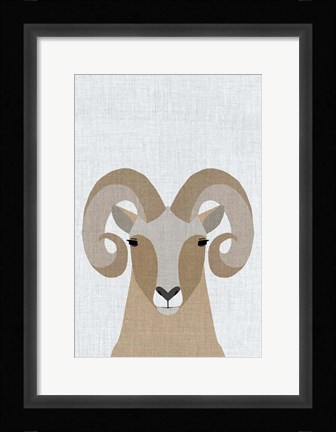 Framed Bighorn Sheep Print