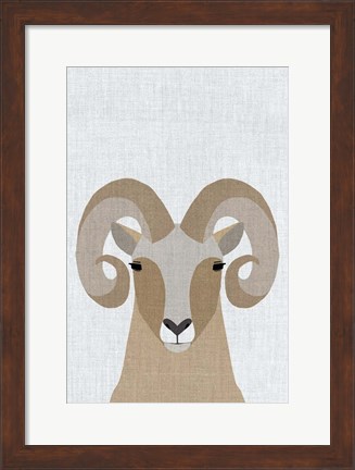 Framed Bighorn Sheep Print