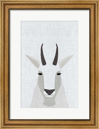 Framed Mountain Goat Print
