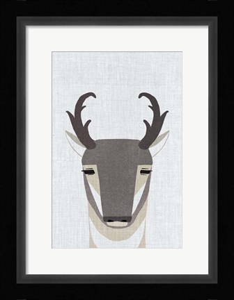 Framed Pronghorn Antelope Print
