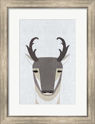 Framed Pronghorn Antelope Print