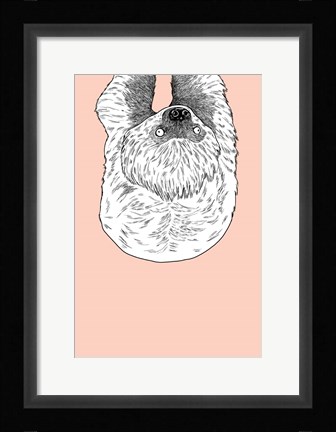 Framed Sloth Print