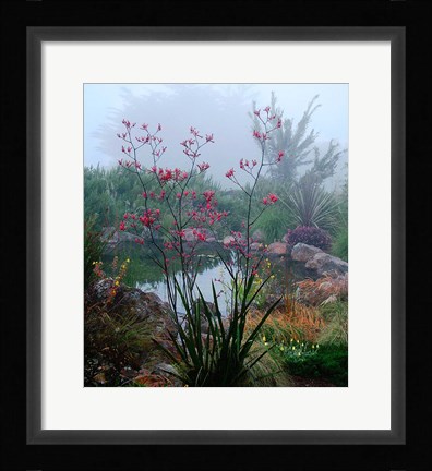 Framed Scarlet Print