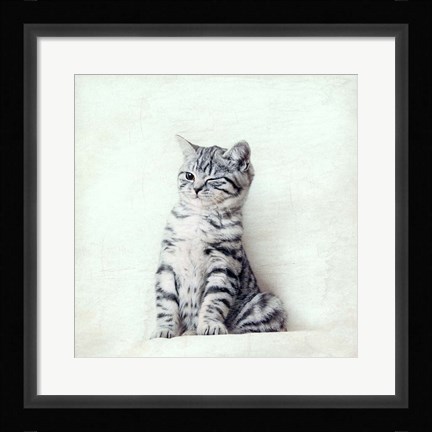 Framed Cat Winks Print