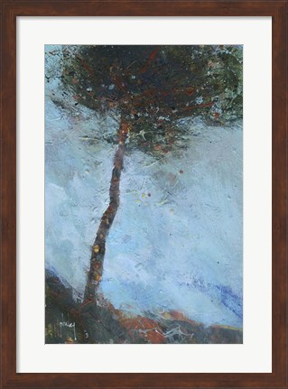 Framed Lone Moorland Pine Print