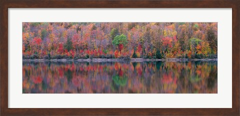 Framed Upson Lake Reflection Print