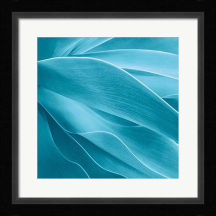 Framed Succulent Print