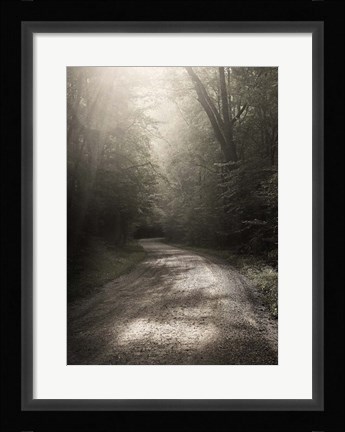 Framed Back Country Road Print