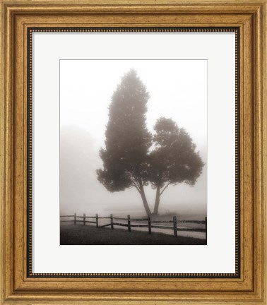 Framed Cedar Tree and Fence Print