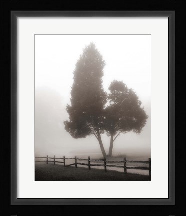 Framed Cedar Tree and Fence Print