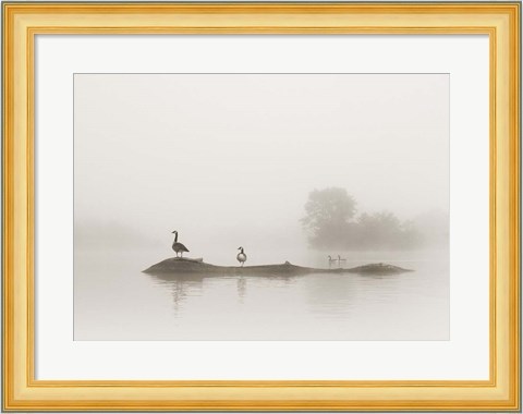 Framed Melton Lake Print