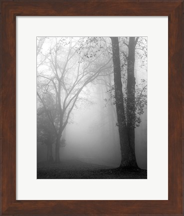 Framed November Fog Print