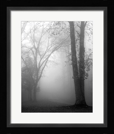 Framed November Fog Print