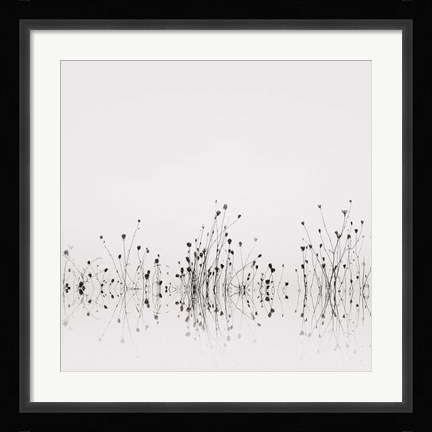 Framed Reflections Print