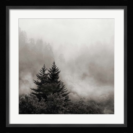 Framed Rising Mist, Smoky Mountains Print