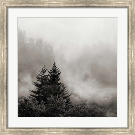 Framed Rising Mist, Smoky Mountains Print