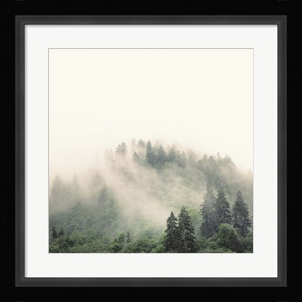 Framed Smoky Mountains Print